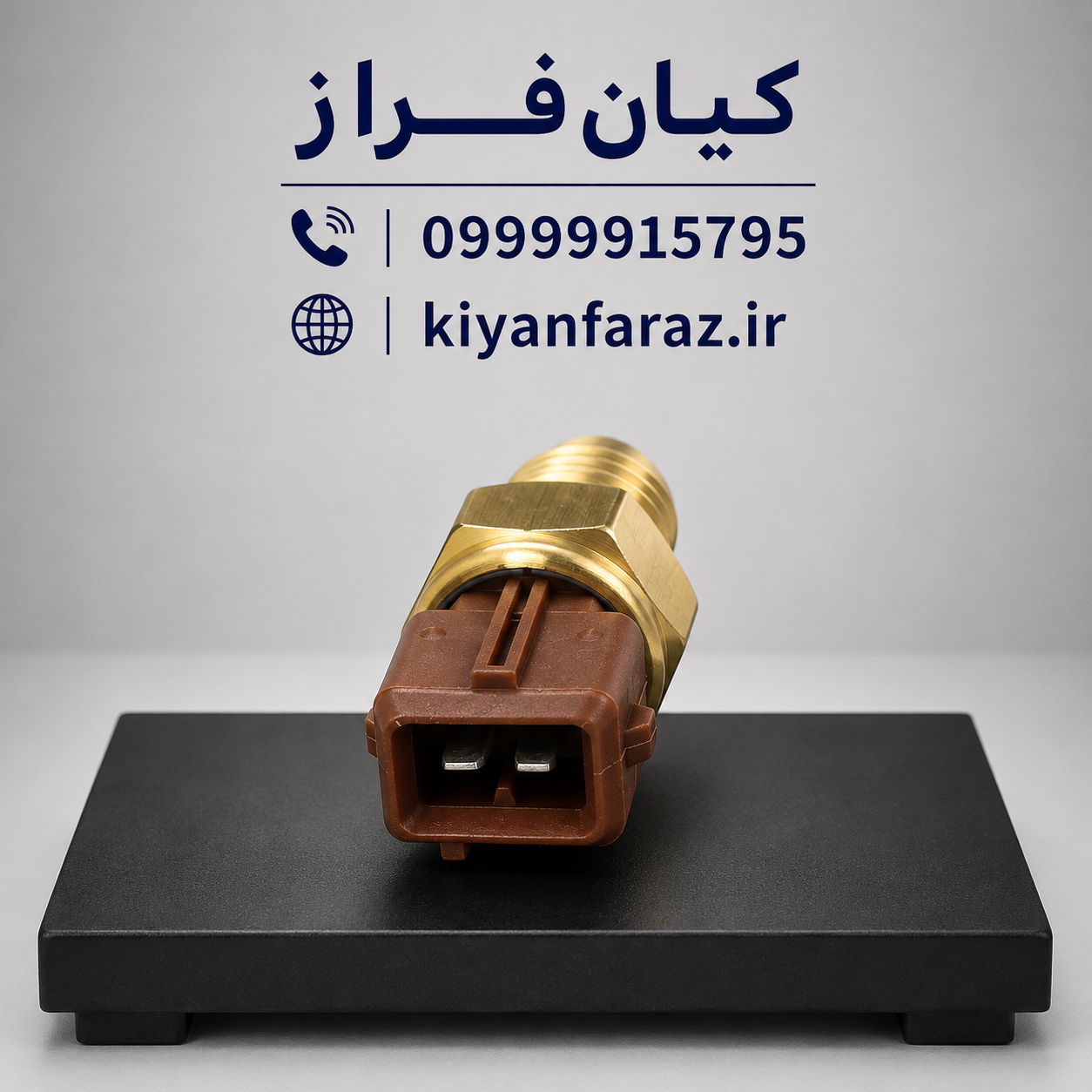 فشنگی (سنسور) دمای آب سر قهوه ای 2 فیش پژو پارس برند عظام